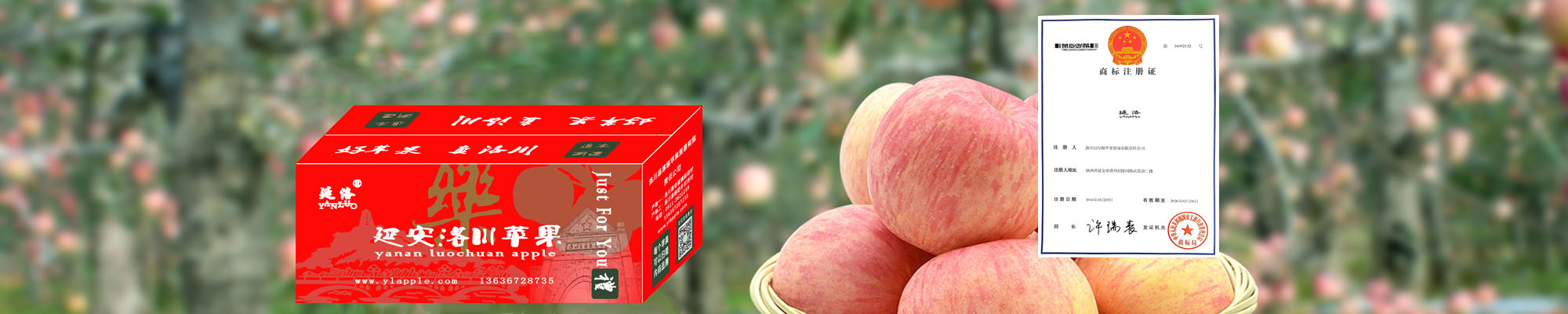 延安洛川蘋果正式注冊商標