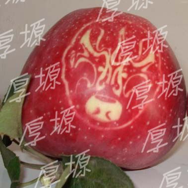 洛川貼字藝術蘋果